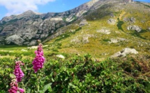 La météo du  Lundi 8 Juillet 2019 en Corse