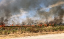 Des habitations menacées par les flammes route de Calenzana