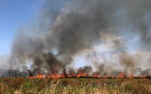 Calenzana : 15 hectares détruits par les flammes