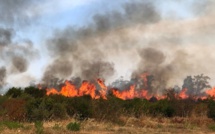 Incendie à Vescovato