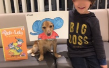 VIDEO - Noki, le premier fonctionnaire à quatre pattes de la Collectivité de Corse