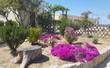 "L’Escale plage"  d'Algajola n°1 du Top 10 français des hôtels respectueux de l’environnement