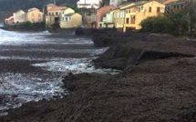 Cap Corse : Des mesures d’urgence pour remettre en état les plages après la tempête et sauver la saison touristique
