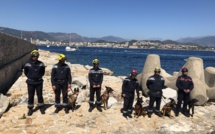Une équipe  cynotechnique en Corse-du-Sud : la belle association entre l’homme et le chien 