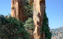 La photo du jour : E calanche di Piana