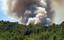 Incendies : 12 hectares déjà ravagés à Castellu-di-Rustinu