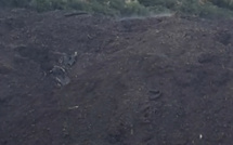 Sainte-Lucie de Porto-Vecchio : un collectif contre les nuisances olfactives 