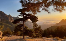 La météo du Jeudi 22 Août 2019 en Corse