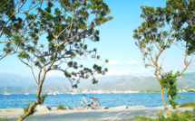 Un temps un peu plus chaud mais finalement de saison cette semaine en Corse