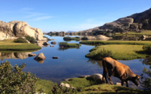 La photo du jour : u  lavu di l'uriente