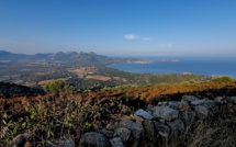 La photo du jour : la baie de Calvi vue depuis le chemin d'Occi