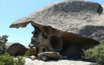 La photo du jour : l'oriu de Grossetu