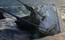 Les insolites de l'été : A Sirenella a reçu une visite inattendue 