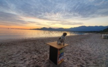 La photo du jour : lorsque le Soleil se lève sur la plage de Calvi