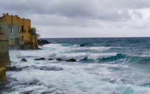 La photo du jour : Marosuli in Erbalonga 