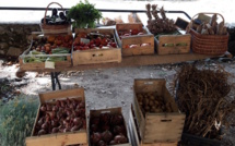 Pruduttori, allevatori è artigiani di a Gravona Prunelli cercano sustenitori pè mette in piazza i "Marcati paesani" long'à l'annata