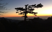 La météo du Mardi 1 Octobre 2019 en Corse