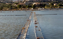 Les salines de Porto-Vecchio : Une richesse économique à l’abandon