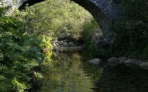 La photo du jour : le pont génois de la forêt de Zipitoli