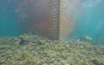 "Rhodanus" échoué à Cala Longa : sécuriser le site afin de préserver l'environnement marin