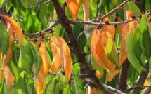 La météo du Lundi 21 Octobre 2019 en Corse