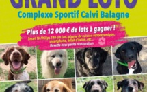 Nos amis à quatre pattes font leur grand loto