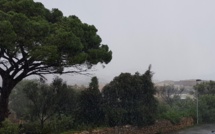 Trafic aérien fortement perturbé par la tempête à Calvi et Figari