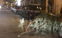 Vents violents en Haute-Corse : seulement quelques dégâts 