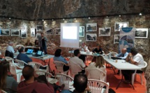 Sites Natura 2000 du secteur « Calvi - Carghjese » : le plan d'actions de l'OEC adopté