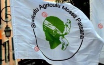 Crise agricole : A Mossa Paisana ne participe pas à la manifestation d’Ajaccio