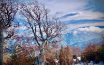 La photo du jour : Le retour de la neige à Ghisoni