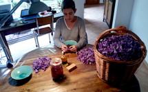 "Infiaratu", le safran de Sainte-Lucie de Porto-Vecchio : un savoir-faire presque oublié