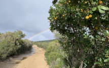 La météo du Lundi 18 Novembre 2019 en Corse