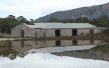 EN IMAGE - Miroir... mon beau miroir