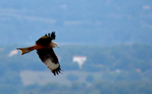 La météo du Mardi 19 Novembre 2019 en Corse