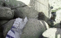 Petreto-Bicchisano : le 1er Décembre 1981 à 8h53 le DC-9 heurte le San Petru avec 180 passagers à bord