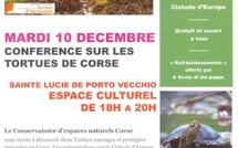 A la découverte des tortues à Sainte Lucie de Porto Vecchio