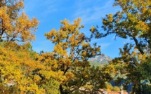 La météo du Mardi 10 décembre 2019 en Corse