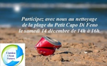 Ajaccio : Nettoyage de la plage du Petit Capu di Feno ce samedi