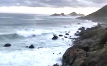 Vent : Deux personnes blessées, un arbre sur un chalet à Calacuccia, le coup d'envoi de ACA-Lens retardé