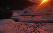 La photo du jour : I Pozzi, écrin de la beauté corse 