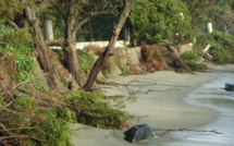 Erosion Littoral : La réaction de l’UMIH et d'Action Littoral Corse