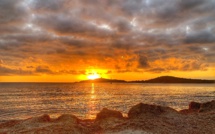 La photo du jour : Pinareddu s'éveille...