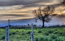 La météo du mardi 31 Décembre 2019 en Corse