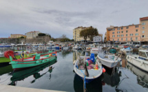 La photo du jour : les beaux bateaux de pêche d'Ajaccio