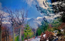 La photo du jour : Ghisoni sous la neige 