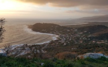 La photo du jour : Tiuccia la belle