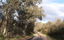 Rallye Portivechju Sud Corse: la spéciale de Tarabucetta annulée