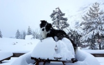 La météo du dimanche 9 février en Corse