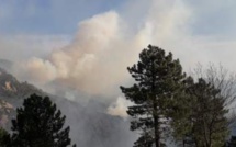 Feu de forêt de Quenza : plus de 300 hectares brûlés. L'incendie progresse au-dessus de Solaro